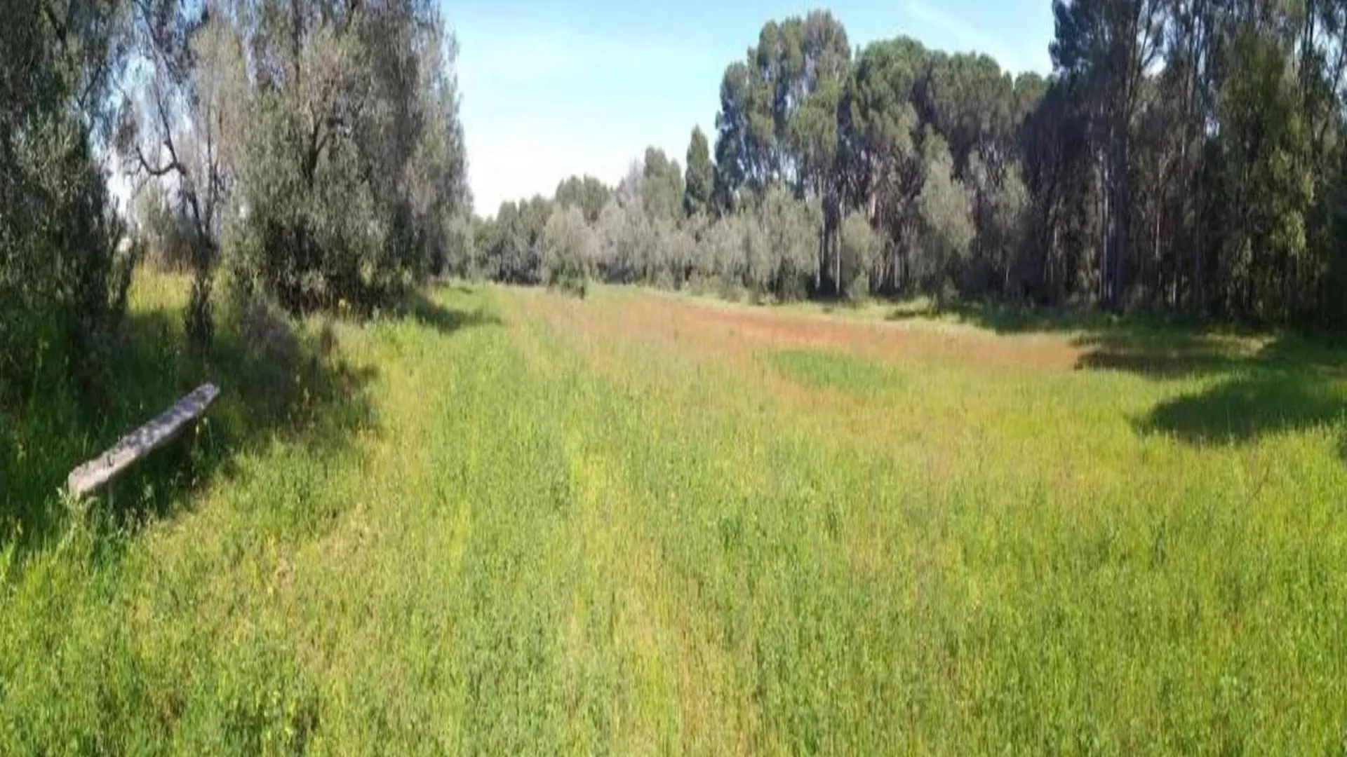 Appartamento Petit Pals - Torrent 0*,  Spagna